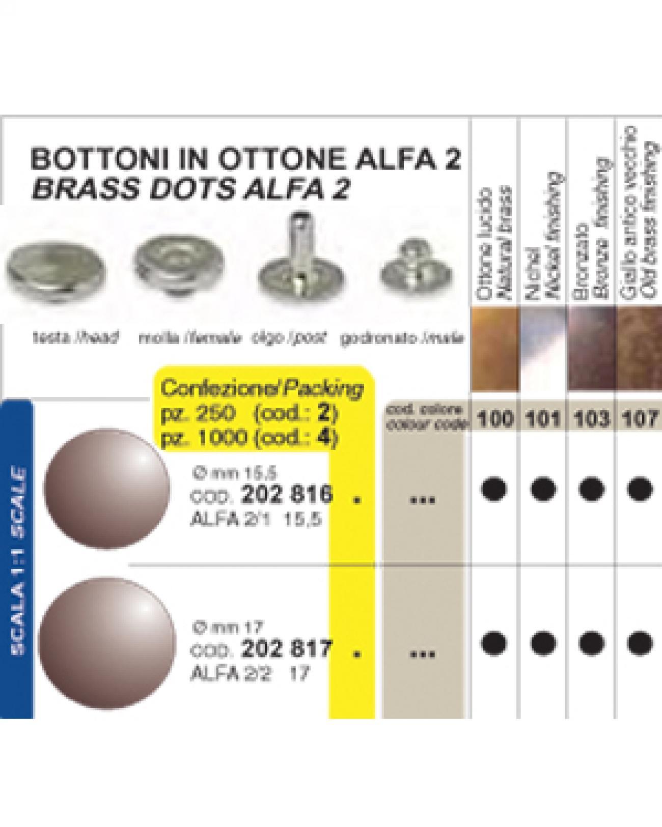 BOTTONI OTTONE - busta 250 pz. NÂ° 15,5 - ALFA 2/1